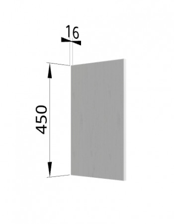 Панель торцевая (для шкафа горизонтального высокого) ВПГ Ройс (Графит софт) в Берёзовке - beryozovka.mebel54.com | фото